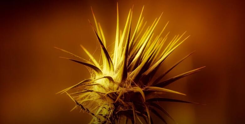 A thorn is compared to a thorn
